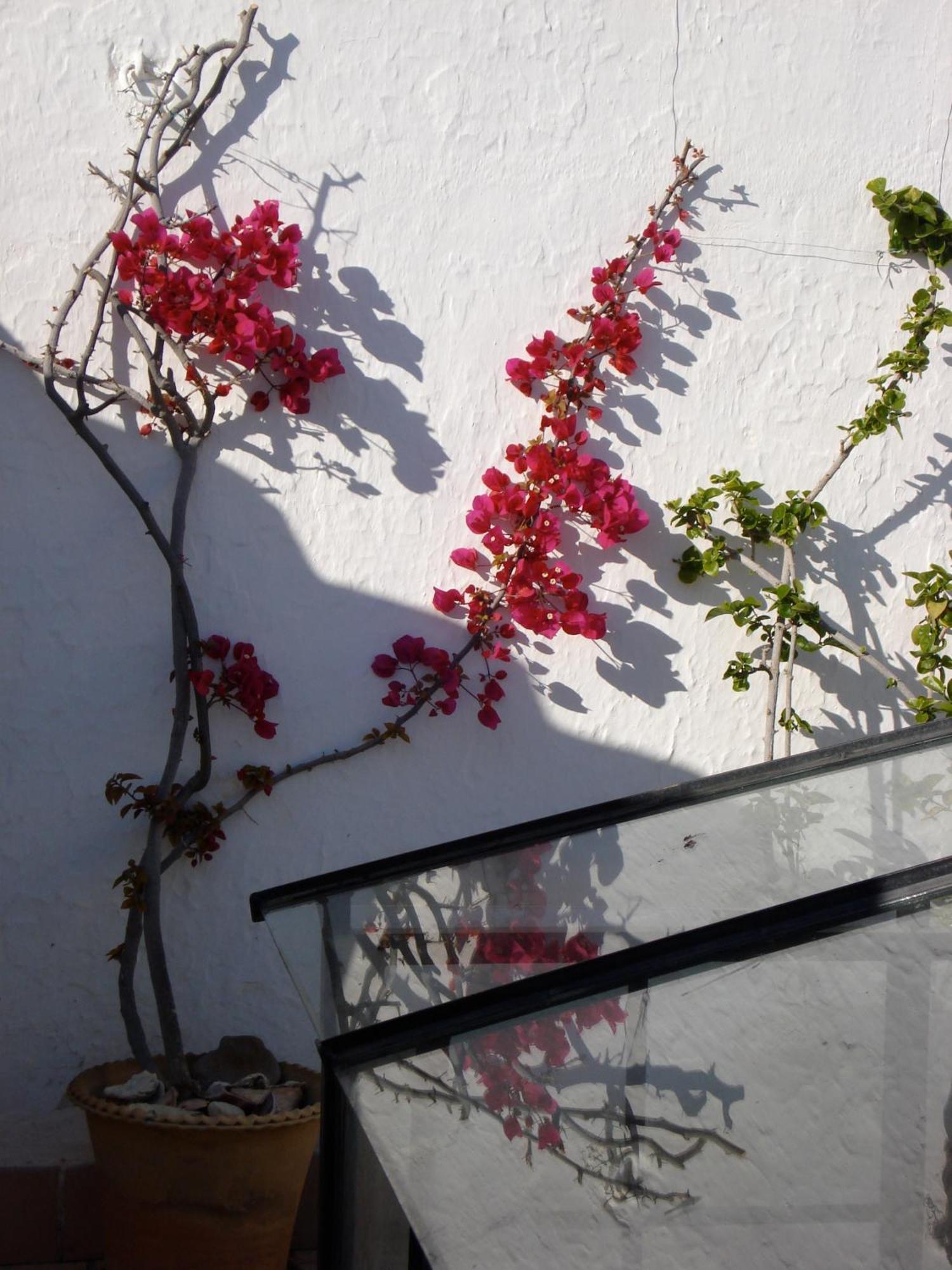 Hotel La Casa Grande à Arcos de la Frontera Extérieur photo